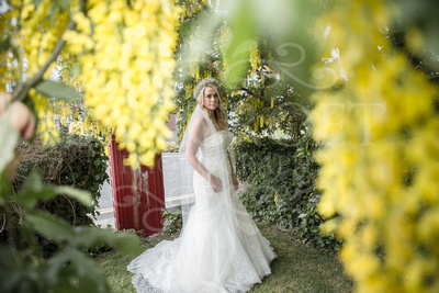 Chris_and_Lianne_Rainford_Village_Hall_Wedding-02600