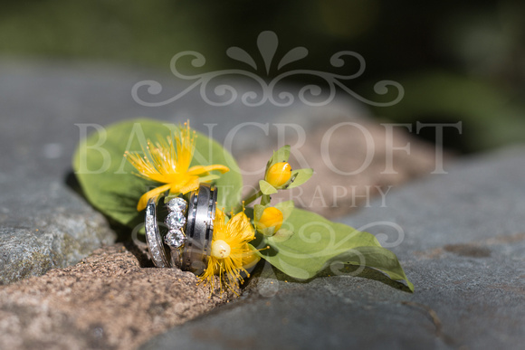 Ben_&_Sophie_Brook_Meadow_Wedding 01003