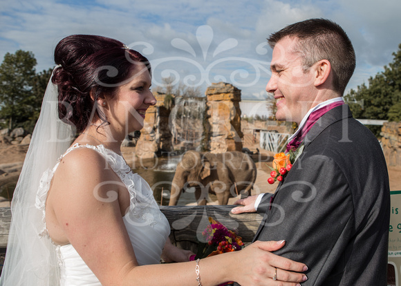 Michael & Paula 08-10-16 Chester Zoo Wedding 00008