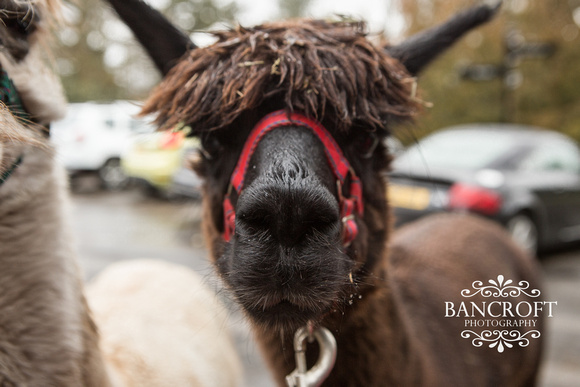 Megan & Paul - Walton Hall Wedding-00910