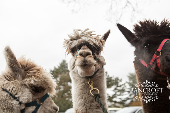 Megan & Paul - Walton Hall Wedding-00911